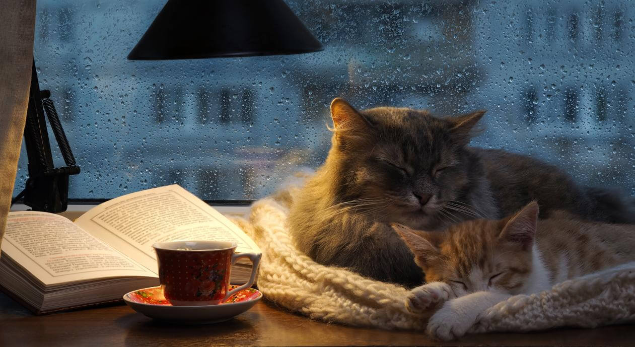 blog-why-does-rain-make-you-sleep-better